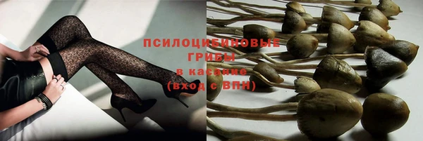 таблы Няндома